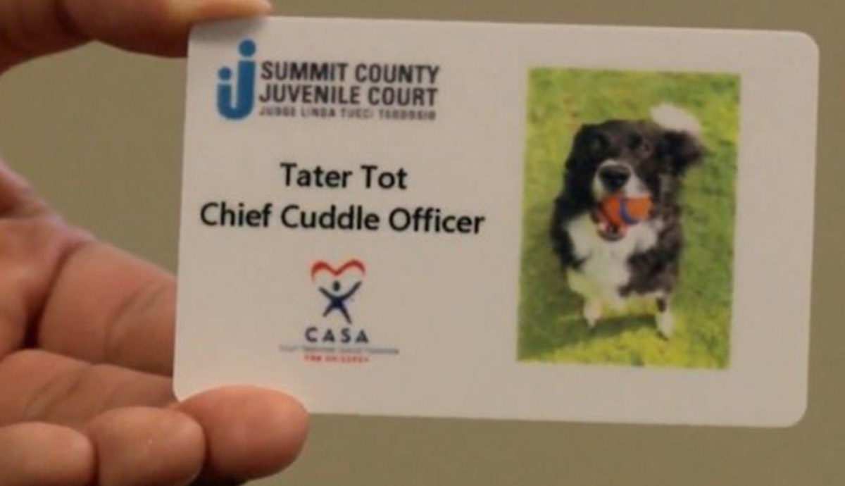 Summit County CASA therapy dog provides comfort to children in juvenile court
